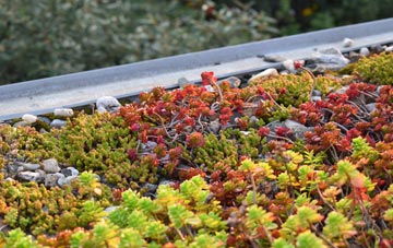the cost of Stockton On The Forest green roof installation