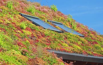 Stockton On The Forest living roof systems