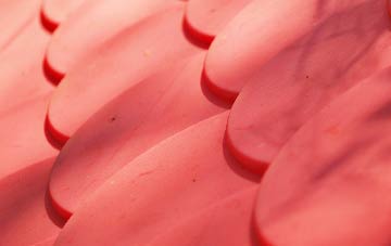 Stockton On The Forest plastic roof costs