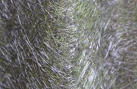 Stockton On The Forest fibreglass roof work